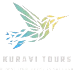 Kuravi Tours