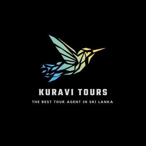 Kuravi Tours logo