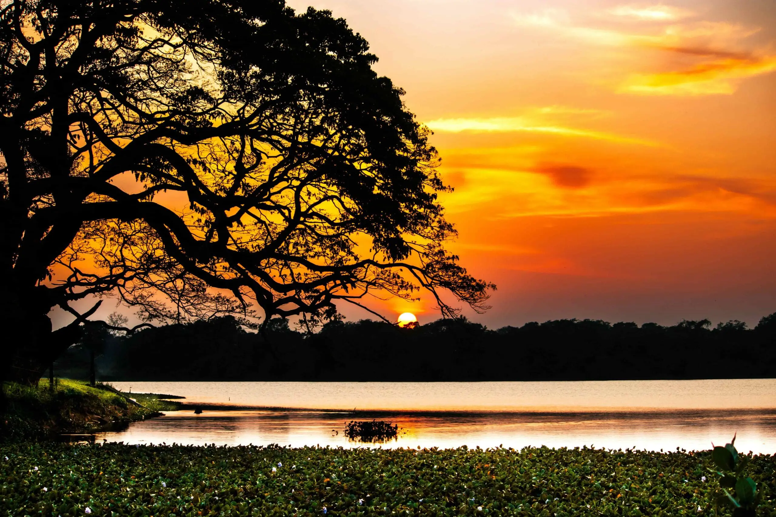 Wilpattu National Park