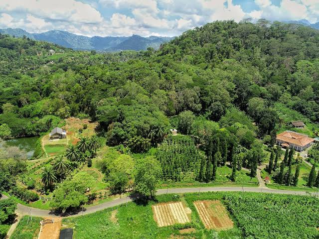 Matale Spice Garden