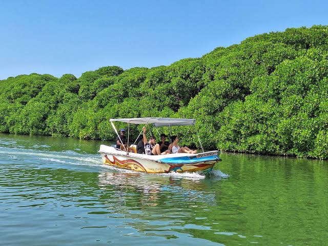 Negombo Lagoon