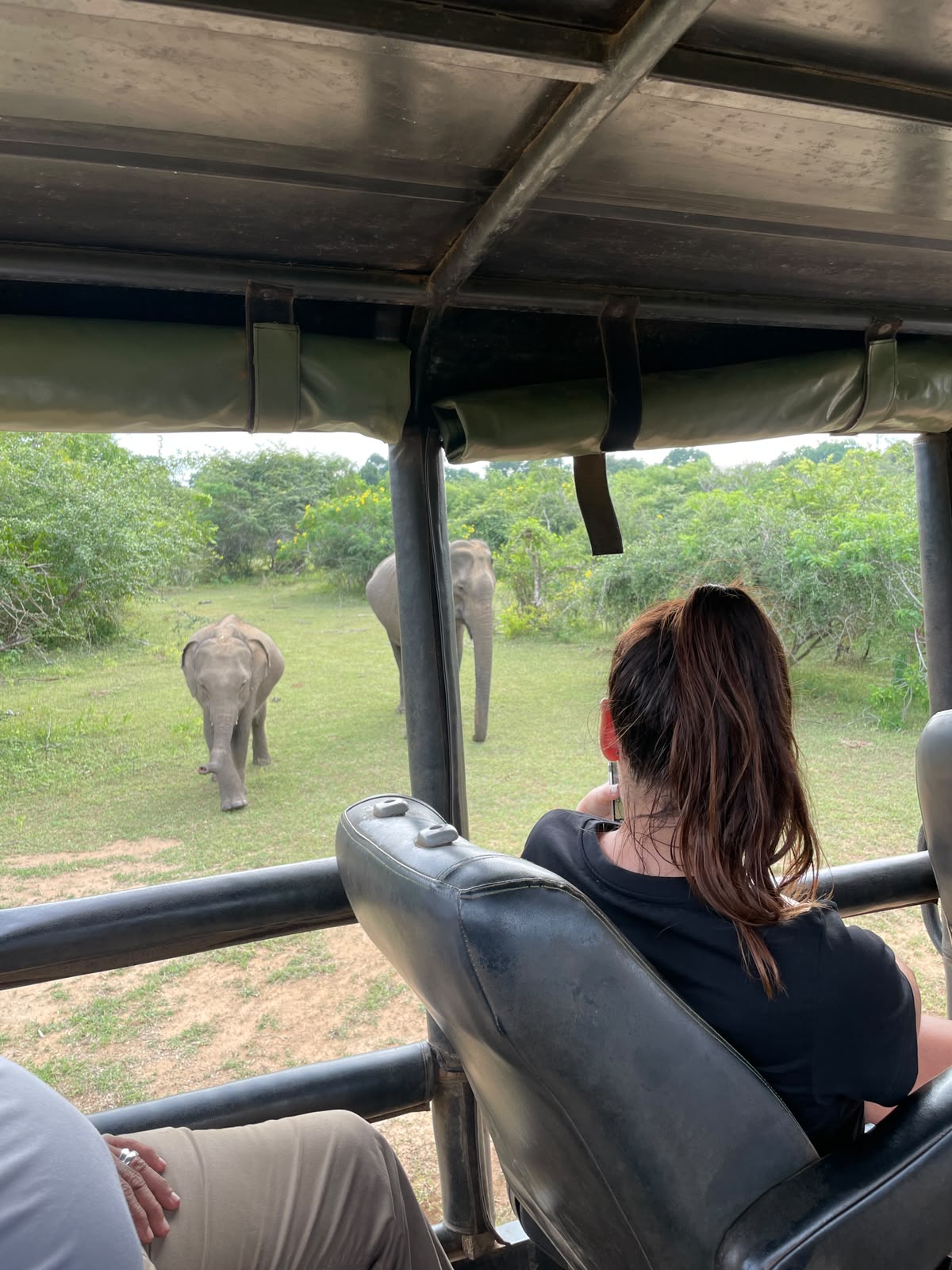 Kuravi Tours Experience 7
