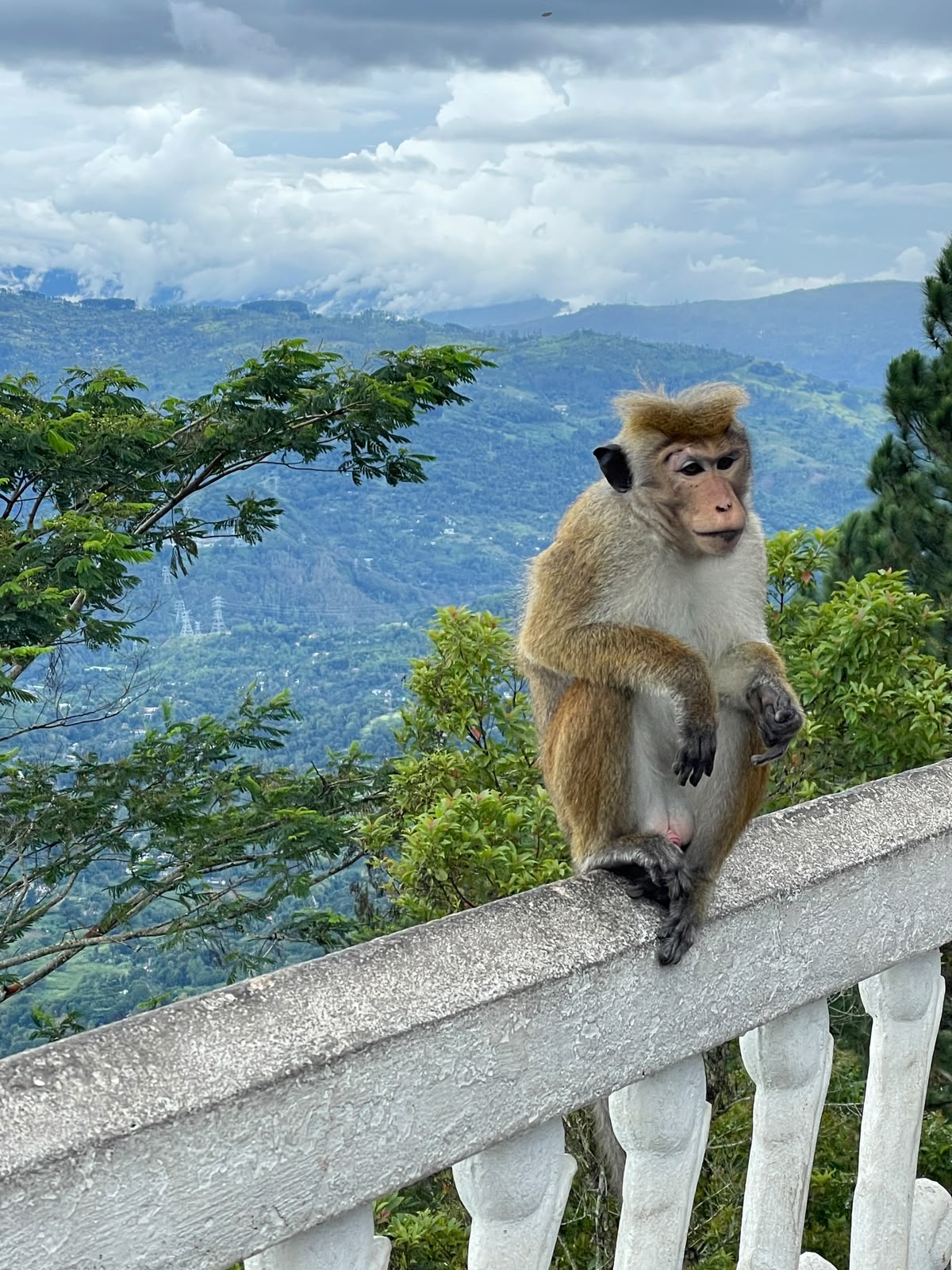Kuravi Tours Experience 5